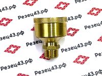 Колпачковая латунная пресс-масленка 14*1,5 12 мл